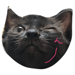 [LINEスタンプ] あんちゃん②