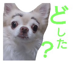 [LINEスタンプ] ぶちゃかわどっぐ