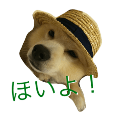 [LINEスタンプ] 虎二郎