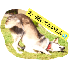 [LINEスタンプ] らぶらぶらっきー