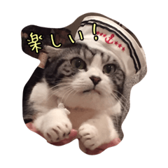 [LINEスタンプ] バジルとゆかいななかまたち part1