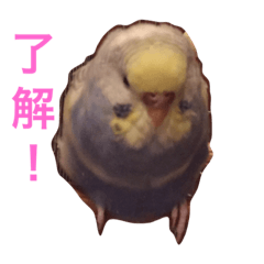 [LINEスタンプ] ひなこの家族スタンプ