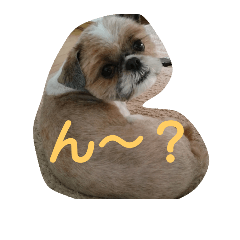 [LINEスタンプ] ハルちゃん_01