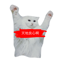 [LINEスタンプ] 俺の猫がこんな可愛いわけがない