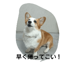 [LINEスタンプ] 息子へのスタンプ
