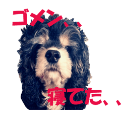 [LINEスタンプ] My lovely Lion Vol.2
