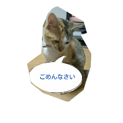 [LINEスタンプ] ゆずとまつり