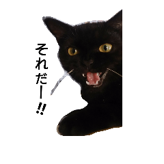 [LINEスタンプ] 黒猫ジジくん