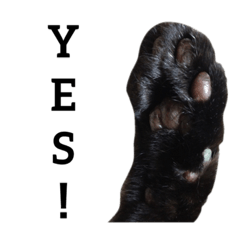 [LINEスタンプ] 黒猫mew 1  Englis hversion