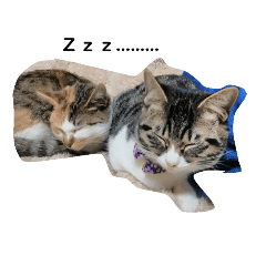 [LINEスタンプ] ゆずとまつり 2