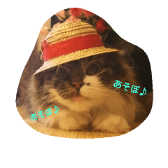 [LINEスタンプ] だいずスタンプ