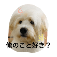 [LINEスタンプ] 城ヶ島