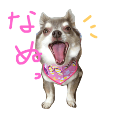 [LINEスタンプ] みみちゃん1