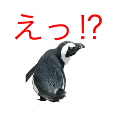 [LINEスタンプ] 海のせいぶつ