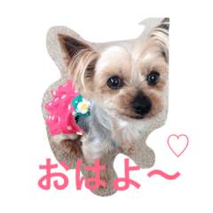 [LINEスタンプ] ここちゃんの日記 1