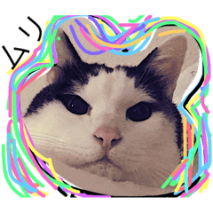 [LINEスタンプ] 猫の親分