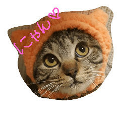[LINEスタンプ] りりぃ