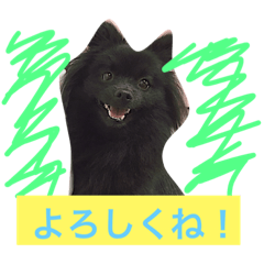 [LINEスタンプ] ロコちゃんの日常