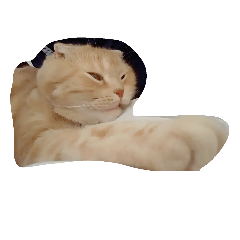 [LINEスタンプ] ウチのペットとかいろいろ