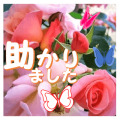 [LINEスタンプ] 薔薇の花♡City Girl_挨拶メッセージの画像（メイン）
