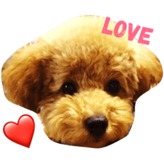 [LINEスタンプ] サーシャちゃん