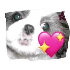 [LINEスタンプ] ルナパンスタンプ