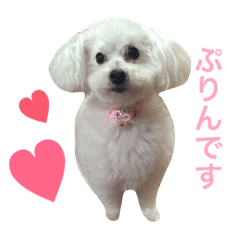 [LINEスタンプ] ぷりんちゃん。2