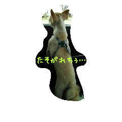 [LINEスタンプ] ネル