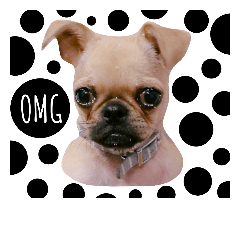[LINEスタンプ] アメリの毎日