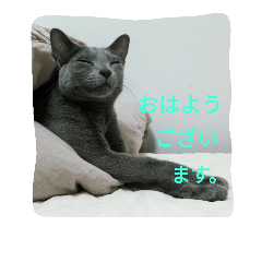 [LINEスタンプ] 今日の出雲
