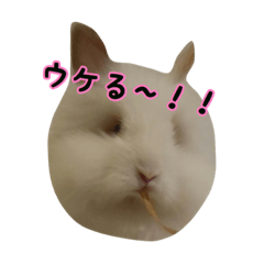 [LINEスタンプ] ライオンラビット☆もぐもぐ ☆うさぎ
