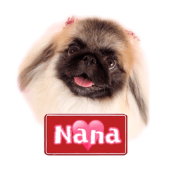 [LINEスタンプ] ペキニーズ Nana