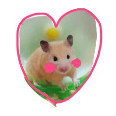 [LINEスタンプ] みそたろう.