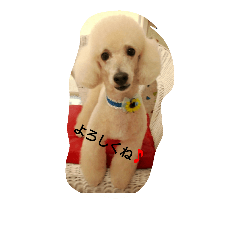 [LINEスタンプ] みきぷう