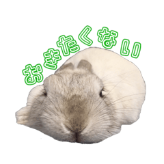 [LINEスタンプ] うさぎの優たん2