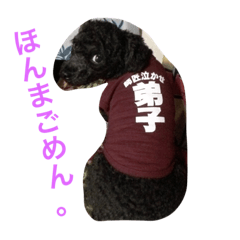 [LINEスタンプ] テンテンの言葉