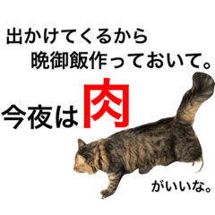 [LINEスタンプ] 我ニャはおいち！+α 家庭的スタンプ