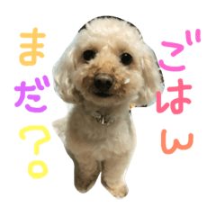 [LINEスタンプ] もこもこ✴︎たいむ①