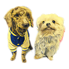 [LINEスタンプ] DOG ！！！(Shiba Inu, Poodle , Maltese)