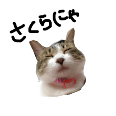 [LINEスタンプ] うちのさっちゃん 