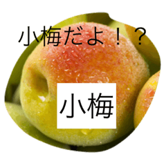 [LINEスタンプ] 小梅専用スタンプ