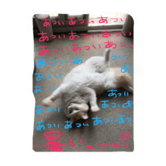 [LINEスタンプ] ハムスケ＆みるく…