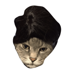 [LINEスタンプ] こたこたお