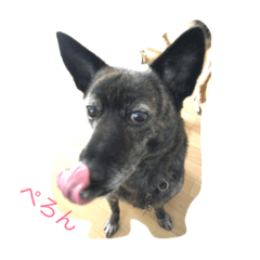 [LINEスタンプ] くーたんとルークのスタンプ