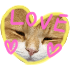 [LINEスタンプ] ウルスタンプ