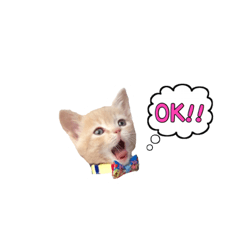 [LINEスタンプ] ミルくんスタンプ