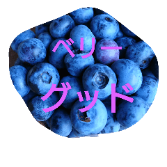 [LINEスタンプ] 私の気持ち。