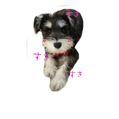 [LINEスタンプ] ミニシュナ