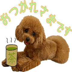 [LINEスタンプ] わいわい 愉快なわんちゃんず