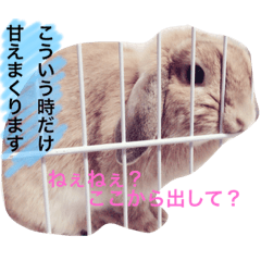 [LINEスタンプ] わがまま「ばにちゃん」